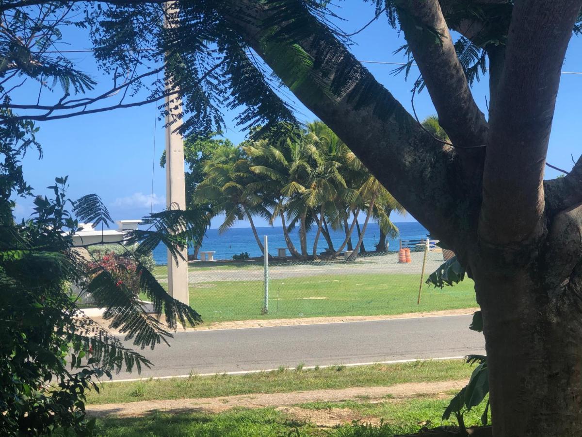 Las Olas Beach Apartments Arecibo Esterno foto