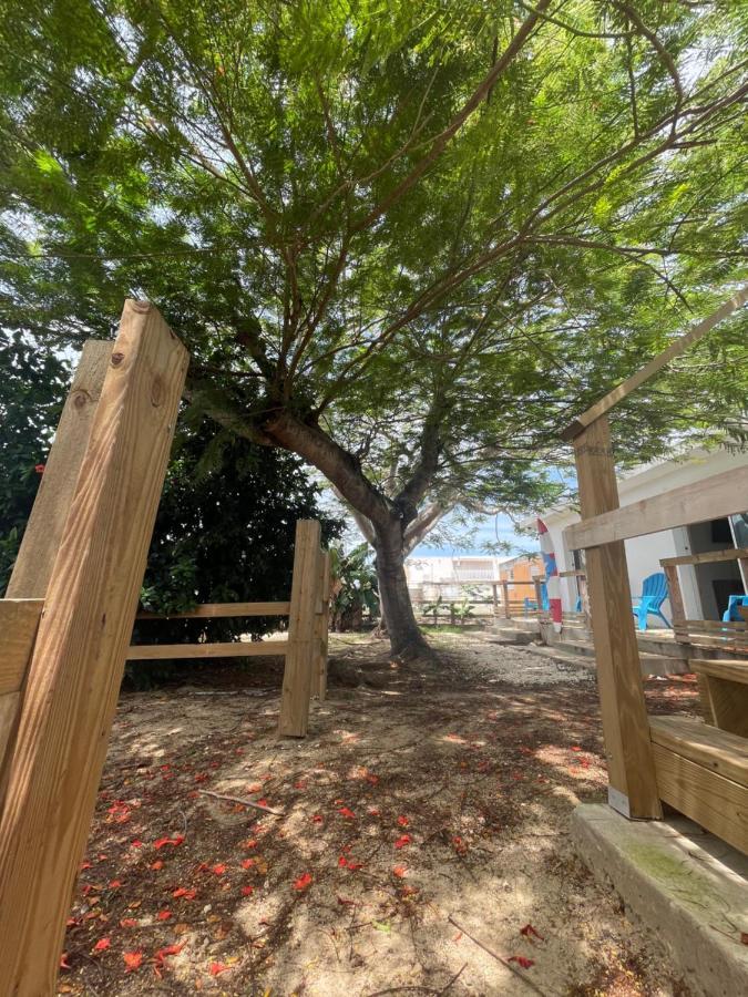 Las Olas Beach Apartments Arecibo Esterno foto